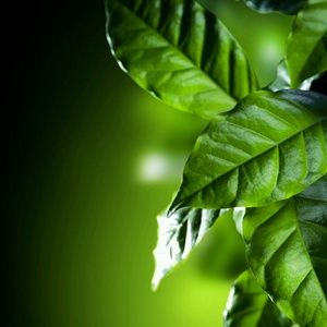 Meet your Posher, Arunima